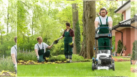 How Grass Robot Mowers Save Time and Effort in Lawn Maintenance