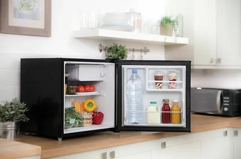 The Best Energy-Efficient Compact Refrigerators You Can Buy