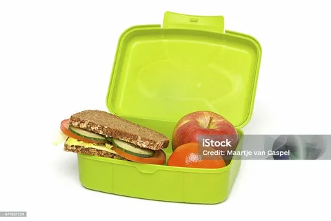 How to Choose the Perfect Lunch Box for Your Lifestyle and Diet